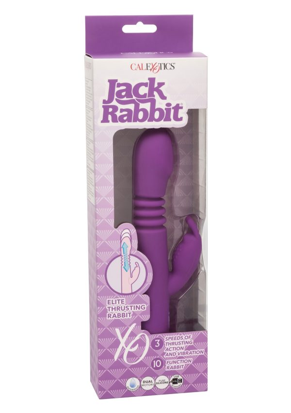 Luxury Elite Thrusting Rabbit